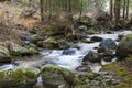 Fast mountain river in forest. Ziarska valley. Western Tatras. Slovakia